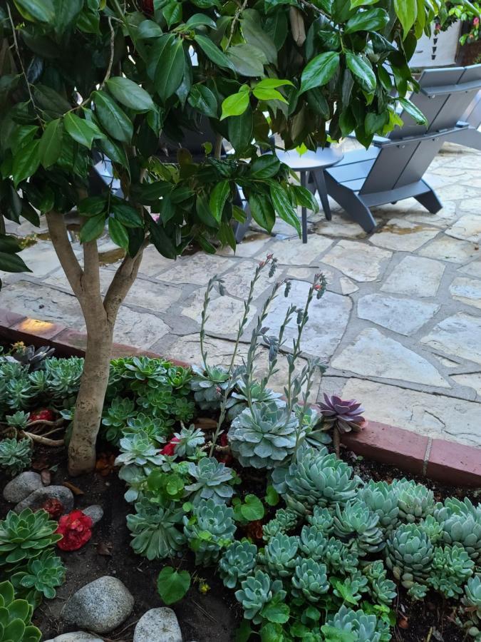 The Vagabond'S House Boutique Inn Carmel-by-the-Sea Dış mekan fotoğraf